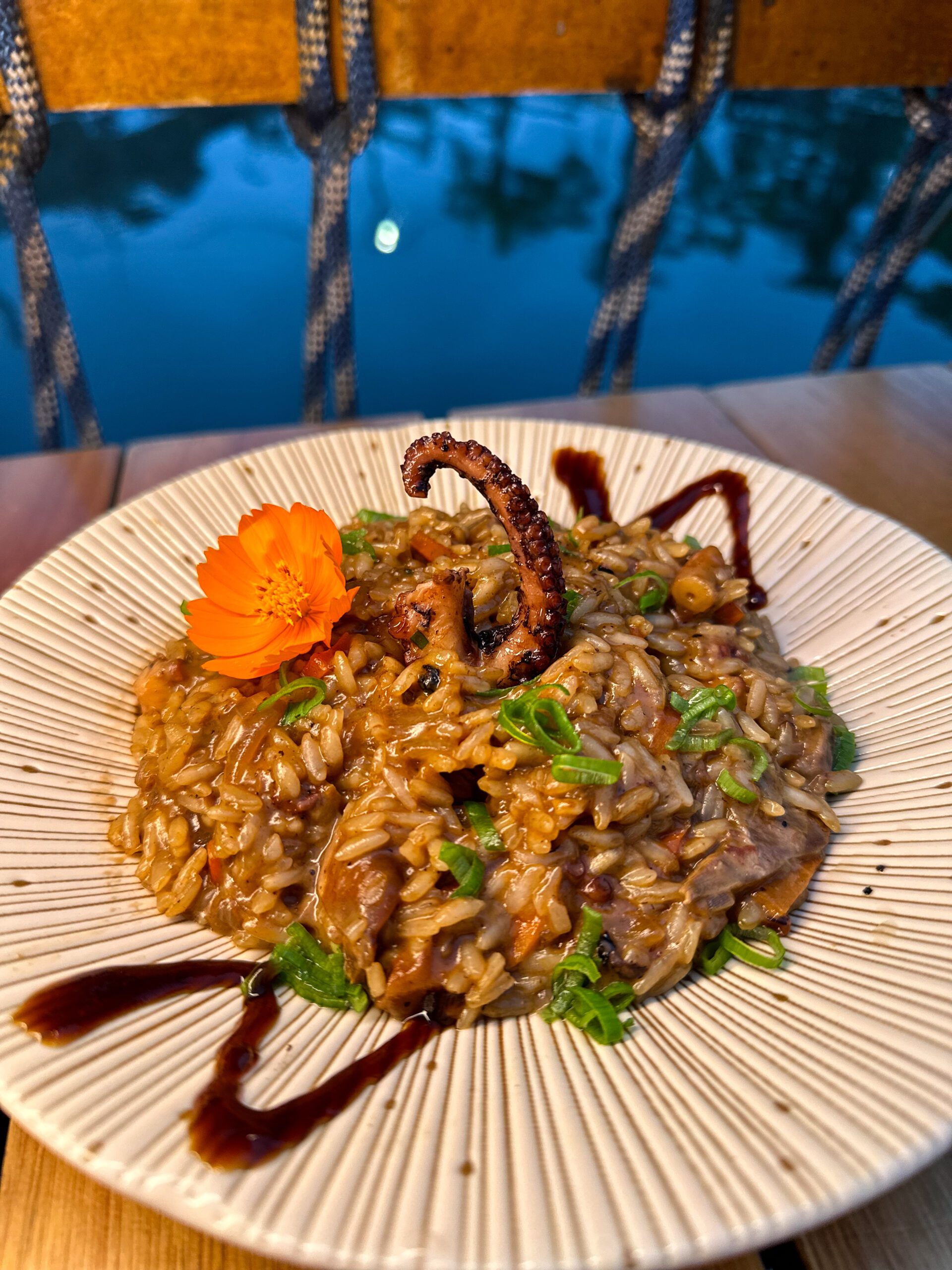 Risoto de Polvo